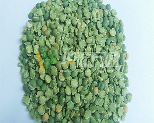 <a href=http://www.sy707.com/product/8/ target=_blank class=infotextkey>豌豆脫皮機</a>